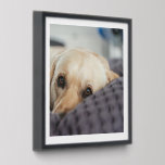 Easy Create Your Personalised Photograph Peel And Stick Photo Tile<br><div class="desc">Tired of boring, impersonal walls? Elevate your space with Personalised Photograph Photo Tiles from Ricaso Peel and stick for easy installation Customise with your favourite photo Transform any room into a personal gallery Personalise your living space with the memories that matter most. Easy Create Your Personalised Photo Tiles let you...</div>