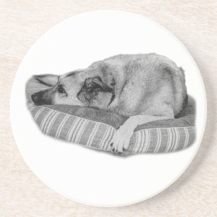 Easy Days, Quiet Dog Coaster