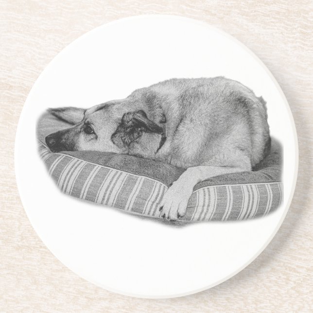 Easy Days, Quiet Dog Coaster (Front)
