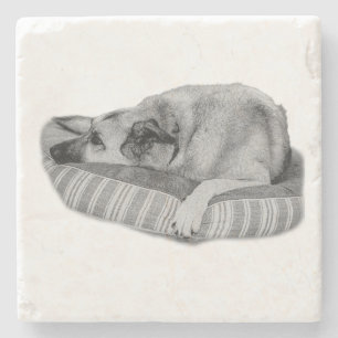 Easy Days, Quiet Dog Coaster