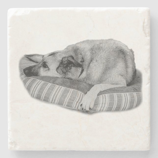 Easy Days, Quiet Dog Coaster (Front)