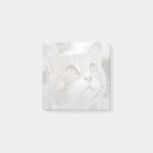 Easy Make Your Own Faded Pet Photo Post It Notes