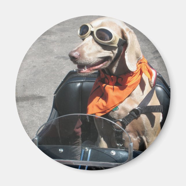 Easy rider magnet (Front)