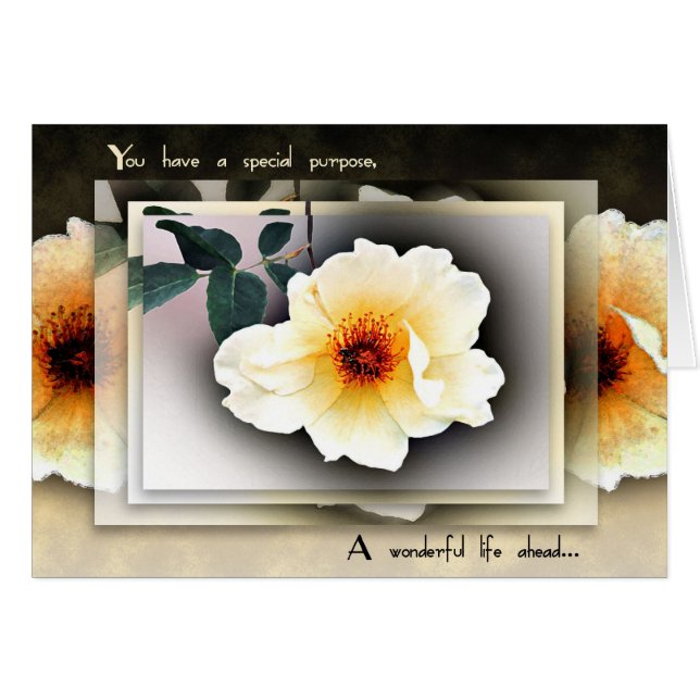 Eat Dessert (Front Horizontal)