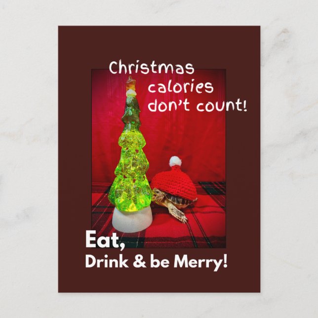 Eat drink and be merry funny baby sulcata tortoise postcard (Front)