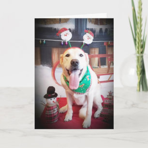 EAT DRINK AND BE "MERRY" THIS CHRISTMAS HOLIDAY CARD