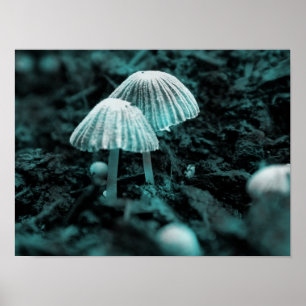 Eat Me... Drink Me... Poster