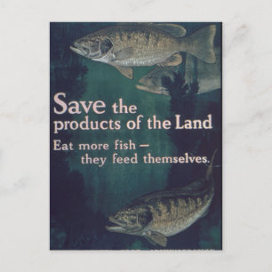Eat More Fish - Vintage Postcard