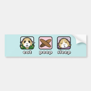 Eat Poop Sleep Guinea Pig Car Bumper Sticker