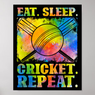 Eat Sleep Cricket Repeat Field Sports Cricketer Pl Poster
