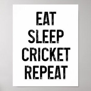 Eat Sleep Cricket Repeat Funny Vintage Cricket Pla Poster