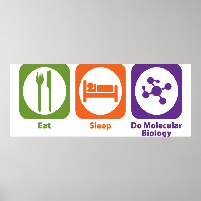 Eat Sleep Do Molecular Biology Poster (Front)