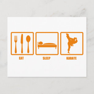 Eat Sleep Karate Postcard