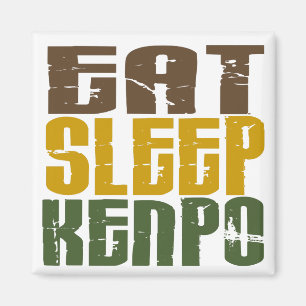 Eat Sleep Kenpo 1 Magnet
