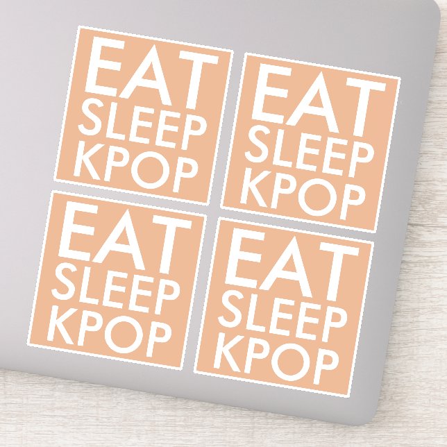 Eat Sleep Kpop set of 4 Die Cut Sticker (Detail)
