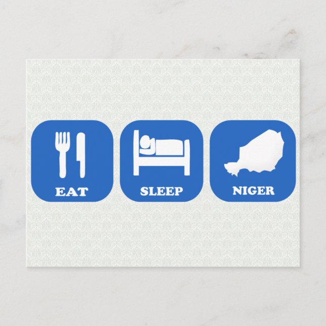 Eat Sleep Niger Postcard (Front)