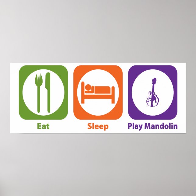 Eat Sleep Play Mandolin Poster (Front)