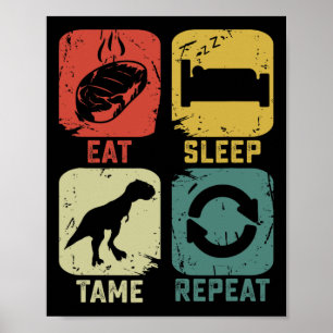 Eat Sleep Tame Repeat Dinosaur Gaming Geek Funny G Poster
