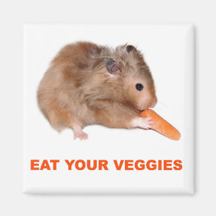 Eat your veggies magnet