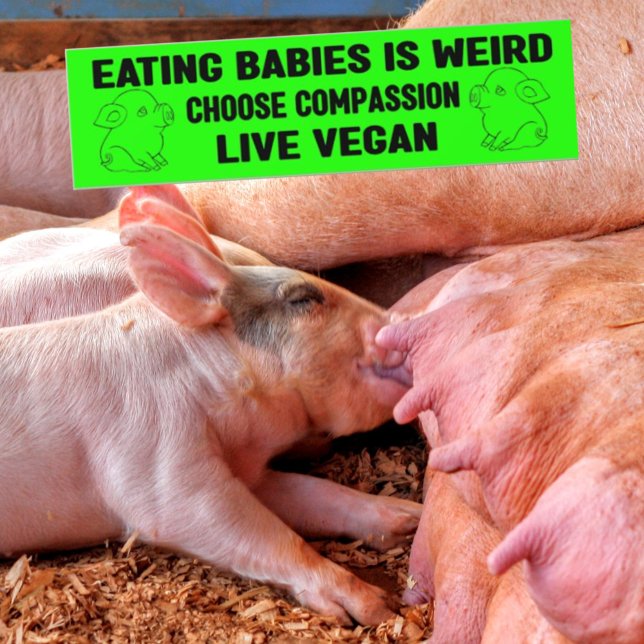 Eating Babies is Weird, Vegan Activism,  Bumper Sticker (Creator Uploaded)