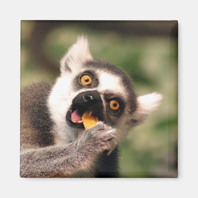eating magnet (Front)
