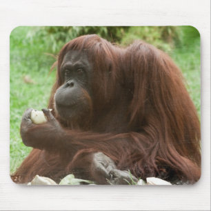 Eating Orangutan Mouse Pad