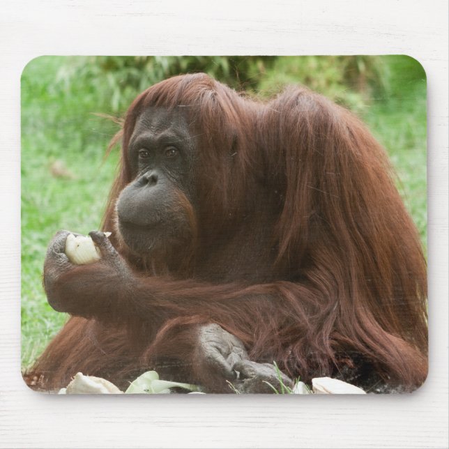 Eating Orangutan Mouse Pad (Front)