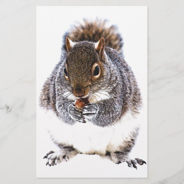 Eating Squirrel (Front)