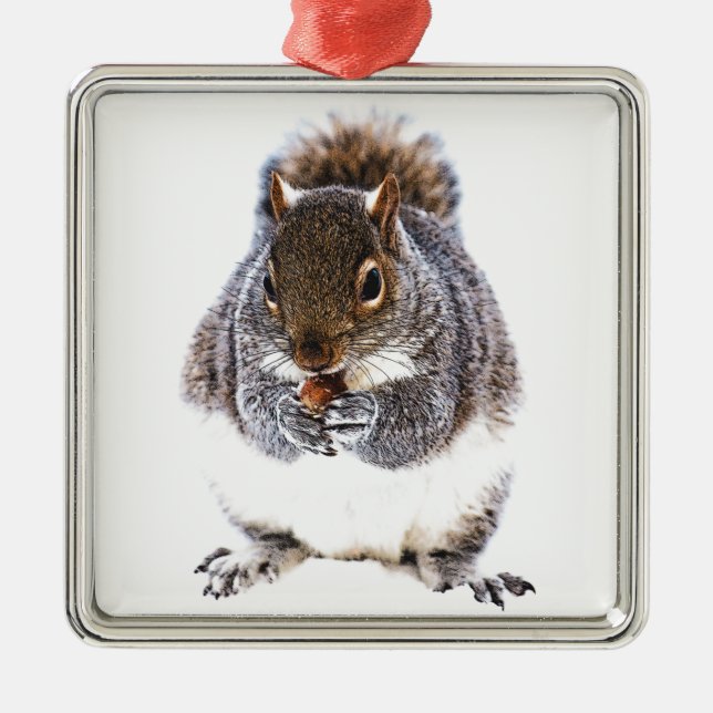 Eating Squirrel Metal Tree Decoration (Front)