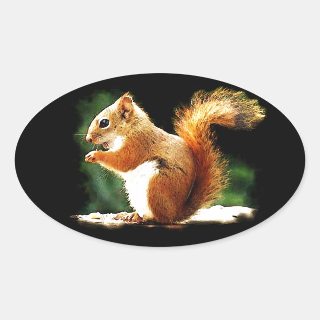 Eating Squirrel Oval Sticker (Front)