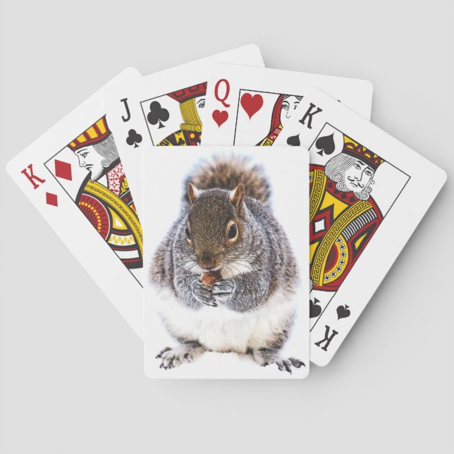 Eating Squirrel Playing Cards (Back)
