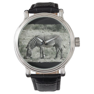 Eating Zebra Watch