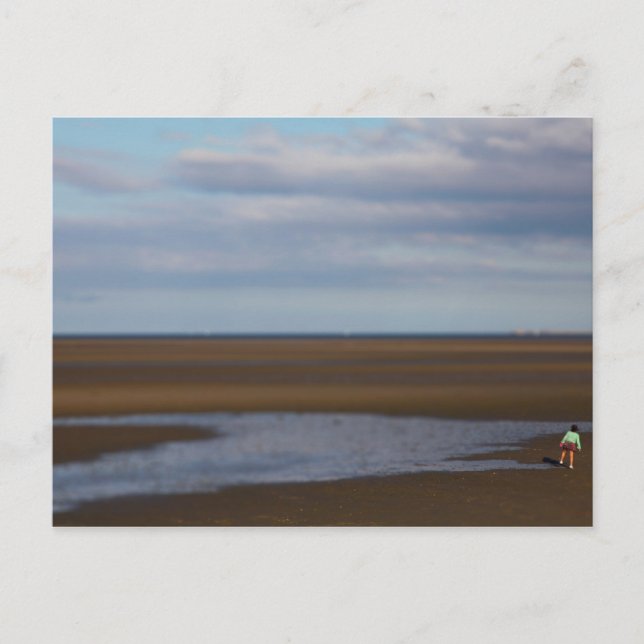 Ebb and tide postcard (Front)