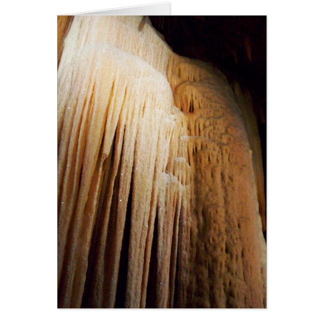 Ebb Tide Card (Front)