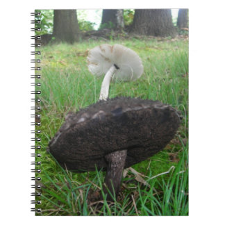 Ebony and Ivory Fungi Notebook