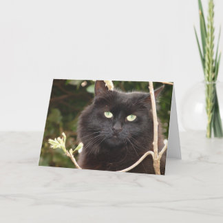 Ebony Card