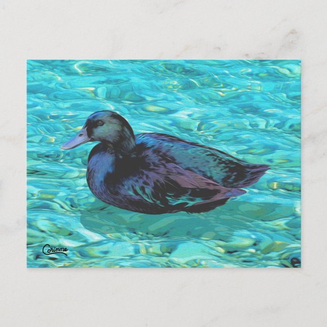 Ebony Duck - Postcard (Front)