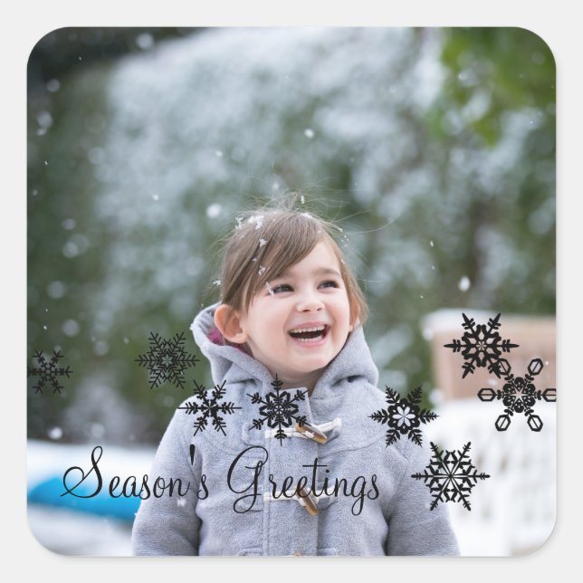 Ebony Elegant Snowflakes Holiday Photo Stickers (Front)