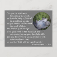 Ecclesiastes 11:5-6 Bible Verse Memory