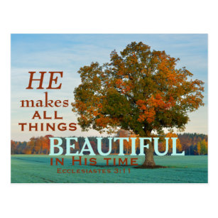 Ecclesiastes 3:11 All things beautiful Postcard