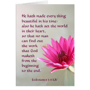 Ecclesiastes 3:11 Everything beautiful in His time
