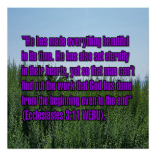 Ecclesiastes 3:11 WEBU Poster