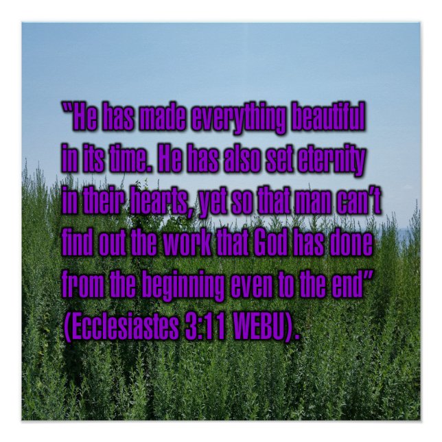 Ecclesiastes 3:11 WEBU Poster (Front)
