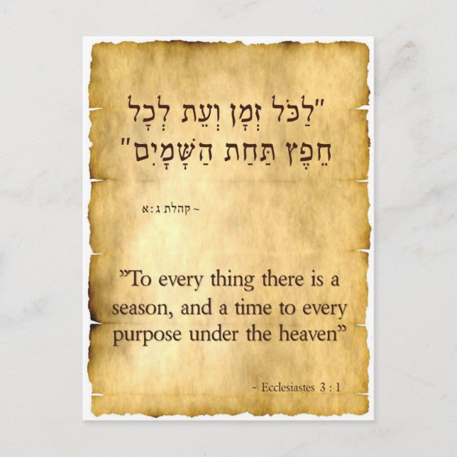 Ecclesiastes 3:1 Hebrew Vertical Postcard (Front)