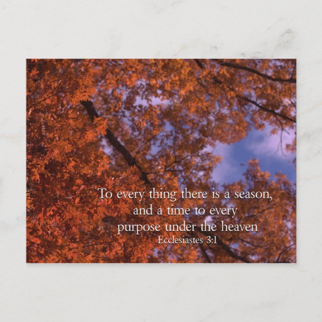 Ecclesiastes 3:1 To every thing there is a season Postcard (Front)