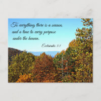 Ecclesiastes 3:1 To everything there is a season..