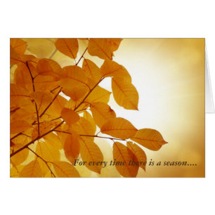 Ecclesiastes 3 Season Comforting