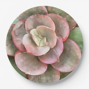 Echeveria Cactus Succulent Acrylic Painting Paper Plate