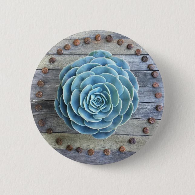 Echeveria Imbricata and Wisteria Seed Succulents 6 Cm Round Badge (Front)