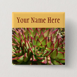 Echeveria pin-back button name tag